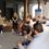 La Fundación Juan Ramón Guillén y Acesur acercan la cultura aceitera a los alumnos del centro de la Escuela  Gastro Osborne