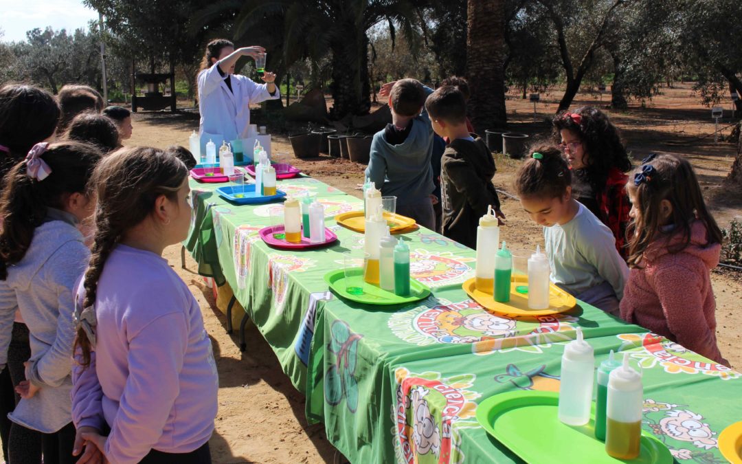 1.300 escolares andaluces se acercan a la cultura aceitera en  el último curso gracias al programa Planeta Olivo