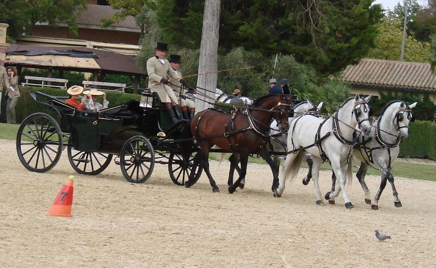 Manuel Márquez Medina cierra con éxito su participación en el VI Concurso Internacional de Enganches de Tradición “Ciudad de Jerez”