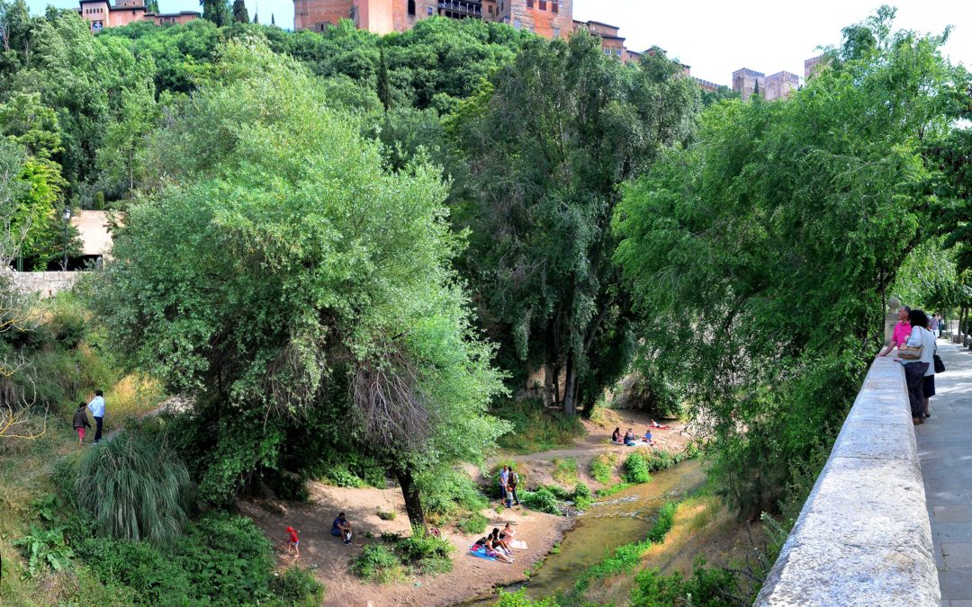 Rutas para conocer las inundaciones y los puentes perdidos del Darro