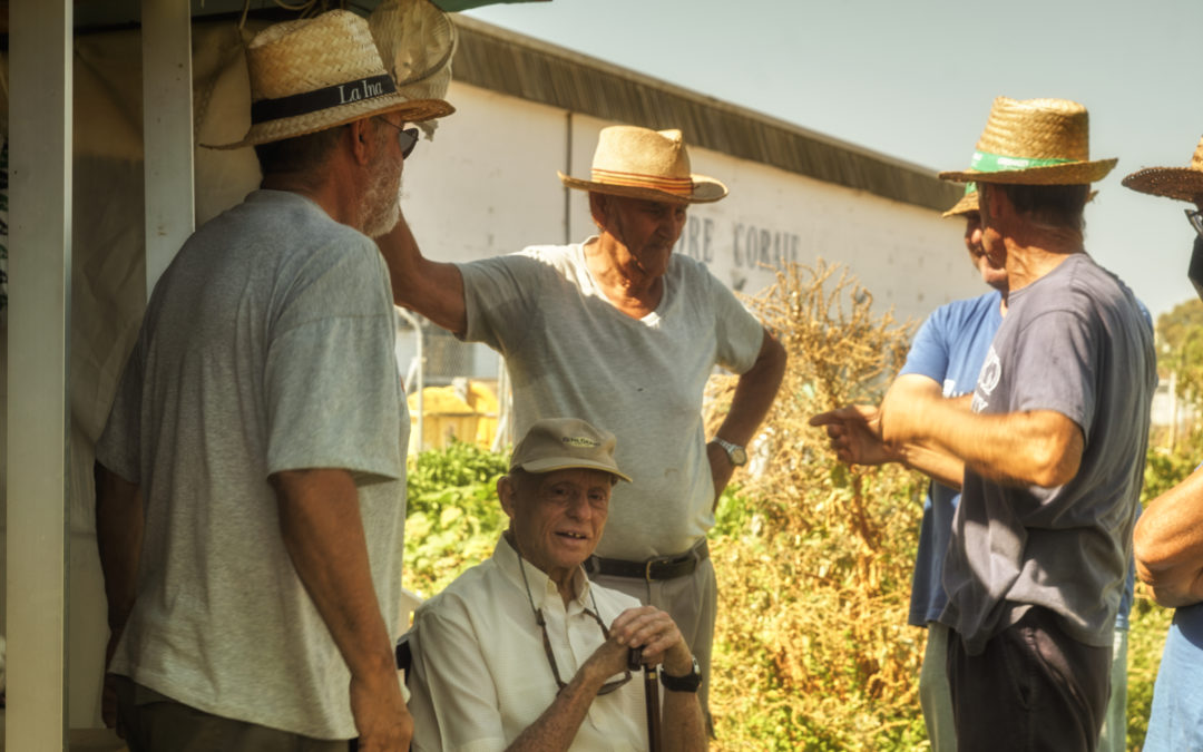 Madre Coraje busca voluntariado en Jerez para atender sus tiendas, gestionar ventas online y cultivar parcelas de su Huerto