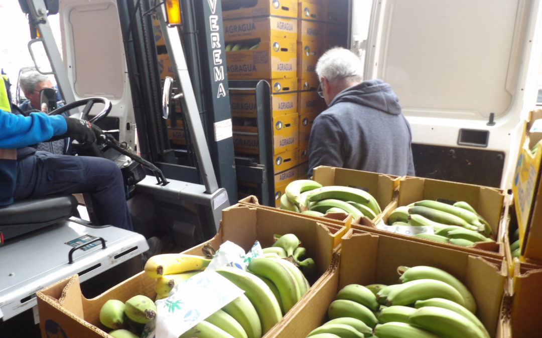 21.000  kilos de plátanos y 9.460 kilos de tomates a pesar de la huelga