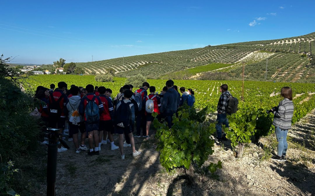 Jornadas de Educación Ambiental en Montilla