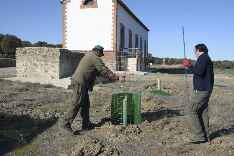 Fundación PRODE ofrece contratos en alternancia para el puesto  de Peón Forestal en Pozoblanco