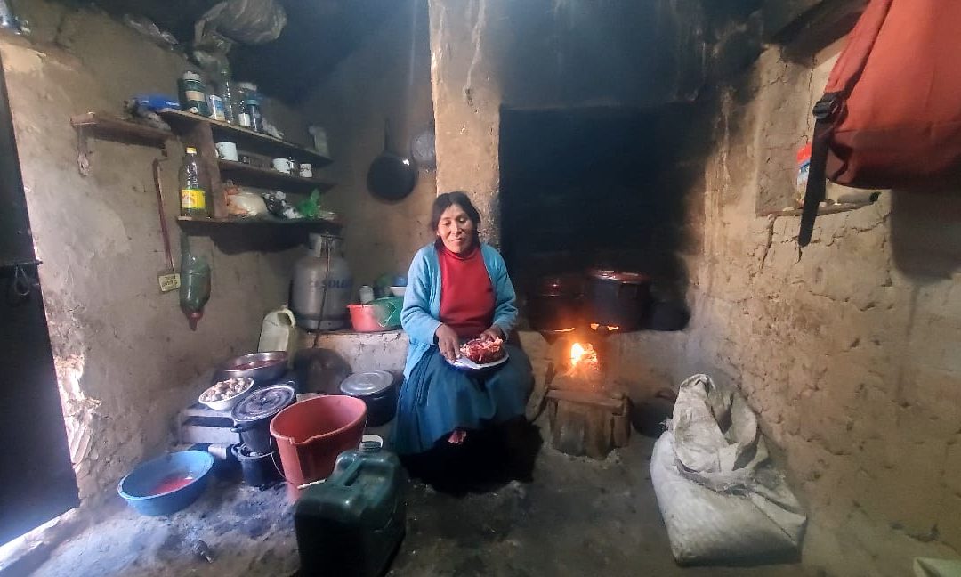 Madre Coraje y la Fundación Roviralta apoyan a 200 personas de una comunidad altoandina en Perú mejorando sus casas ante el frio extremo