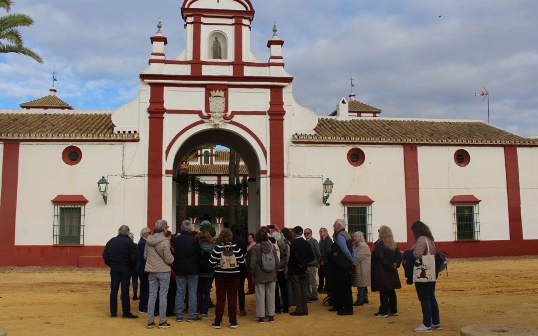 Casi 100 personas de la tercera edad de Sevilla visitan la Hacienda Guzmán para conocer el sector aceitero