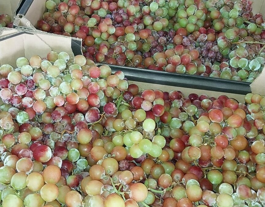 El Banco de Alimentos de Córdoba tampoco cierra por vacaciones